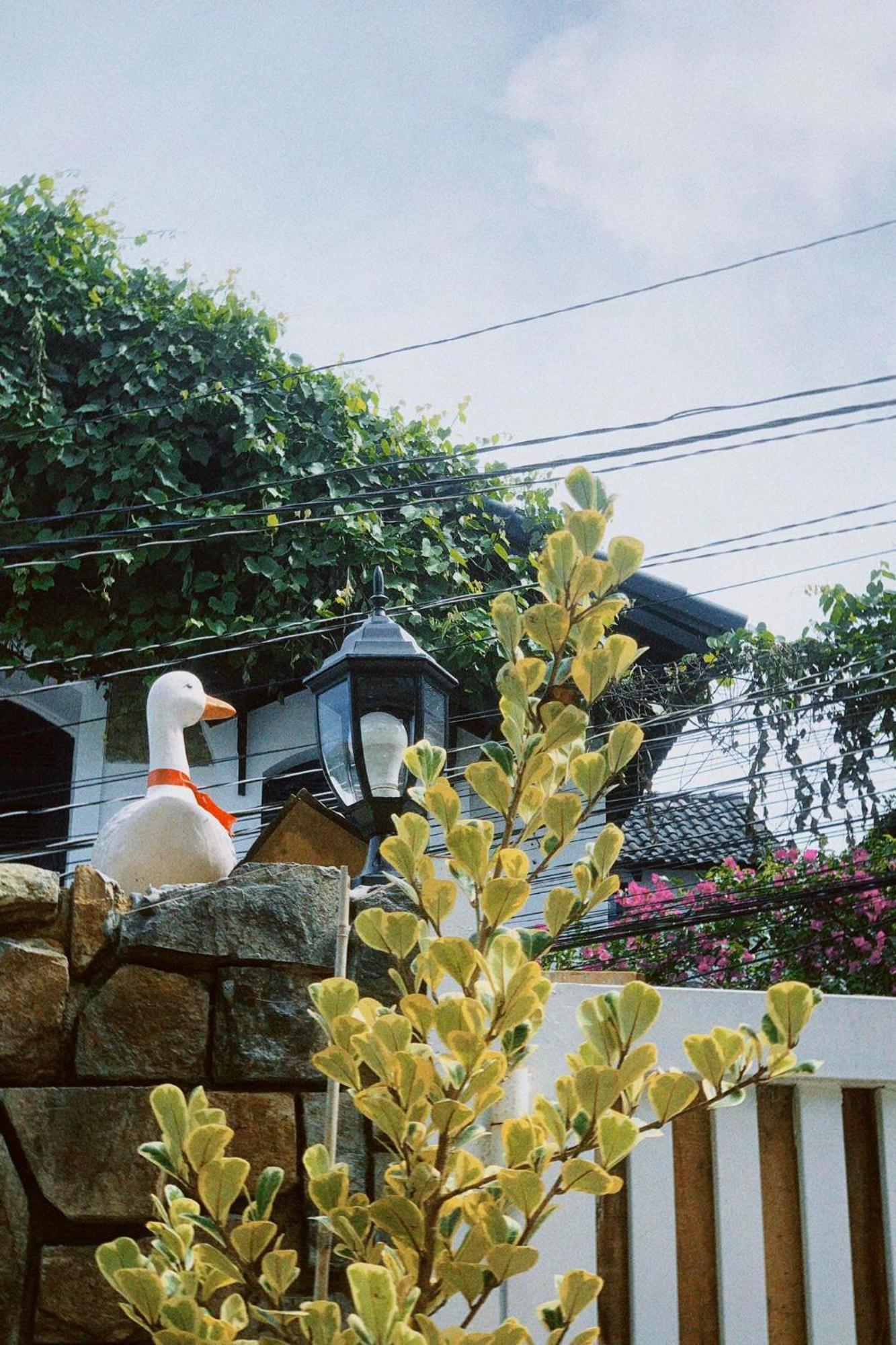 Chai Nho Homestay Da Lat Exterior photo